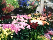 「コダカ花店」　（東京都文京区）の花屋店舗写真2